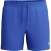 Image de Speedo Short De Bain Essential 16´´ XL