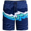 Image de Speedo Short De Bain The Lookout 18´´ Print UK 32