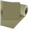 Image de Colorama Carton de fond 2.72 x 11m (272 cm, 1100 cm), Fond de studio, Vert