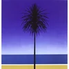 Image de The English Riviera (Lp) [Vinyl LP] [Vinyl LP] [Vinyl LP] [Vinyl LP] en occasion ou reconditionné
