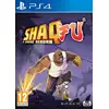 Image de Shaq Fu : A Legend Reborn