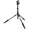 Image de 3 Legged Thing Punks Brian 2.0 avec Airhed Neo 2.0 Black Darkness (Carbone), Trépied, Noir