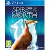 Image de Merge Games, Spirit of the North