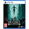 Image de Merge Games, Bramble : le roi de la montagne