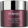 Image de 111SKIN Repair Day Cream Nac Y2 - Crème de Jour Pour Le Visage