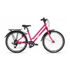 Image de Frog Bikes Vélo City 61 24´´ One Size