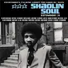 Image de Shaolin soul 3