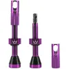 Image de Chris King Soupapes Peaty´s Tubeless 60 mm