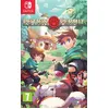Image de Potion Permit Nintendo Switch