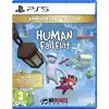 Image de HUMAN FALL FLAT ANNIVERSARY EDITION