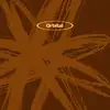 Image de ORBITAL 2 (THE BROWN ALBUM) - édition deluxe gatefold