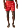 Image de Regatta Short De Bain Loras XL