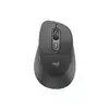 Image de Logitech 910-007715 Signature Comfort Plus M850 L - 910-007715