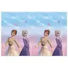 Image de Magni, Nappe, Procos 93841 - Nappe Frozen 2 Wind Spirit, taille 120 x 180 cm, plastique, essuyable, anniversaire (180 x 120 cm)