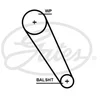 Image de Courroie De Distribution Gates 5698xs