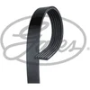 Image de Courroie Trapézoïdale À Nervures Gates 6pk987est