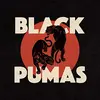 Image de Black Pumas [Vinyl LP] en occasion ou reconditionné
