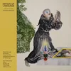 Image de Strange Disciple [Vinyl LP] en occasion ou reconditionné