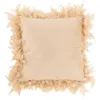 Image de Coussin Déco "Plumes" 45cm Rose Beige