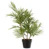 Image de Plante Artificielle "Palmier en Pot" 84cm Vert