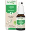 Image de HerbalGem Cassis Spray Bio 15 ml