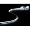 Image de VELLEMAN Ruban à led blanc froid 600 led's 5m 24 volts