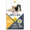 Image de 12,5kg Maxi Puppy Opti Life Croquettes pour chiot