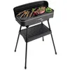 Image de FRITEL BBQ 2246