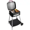 Image de Fritel, Barbecue électrique, BBQ 3278 (2 kW)