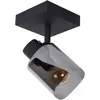 Image de Lucide, Spot de plafond, Alion (E14)