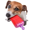 Image de Jouet rafraîchissant LOLLY en TPR 16 cm pour chien