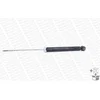 Image de 1 Amortisseur Monroe G1099