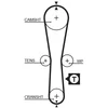 Image de Kit De Distribution Gates K015454xs