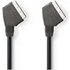 Image de Nedis Câble péritel (mâle à mâle, 2 m) Noir (2 m), Câble vidéo, Noir