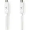 Image de Nedis Câble USB - USB 3.2 Gen 2 - type C mâle - 10 Gbps - 100 W - nickelé - 1 m - rond - PVC (1 m, USB 3.2 Gen 2, 100 W), Câble USB