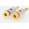 Image de Nedis Connecteur Mâle Droit Fileté En Métal Pour Entrée De Câble Type Banane Or 3 Mm