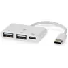 Image de Nedis Hub USB 1x USB-C  1x USB-C  / 2x USB 2.0 A Female 3-Port port(s) Alimentation via (USB-C, 3 ports), Station d'accueil + hub USB, Blanc