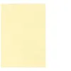 Image de DECAdry PCL1677 - Champagne - A4 (210 x 297 mm) - 165 g/m² - 50 feuille(s) papier texturé