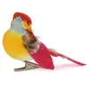 Image de Oiseaux décoratifs (sur pince)