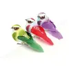 Image de Oiseaux décoratifs multicolore 3 pièces - artémio