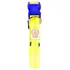 Image de EBI Collier Duvo+ Nylon Flash lumineux USB (Chat, Chien, Promenade), Collier + laisse