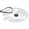 Image de Kit De Courroies D'accessoires Gates K013pk668