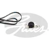 Image de Kit De Courroies D'accessoires Gates K014pk788