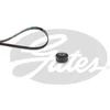 Image de Kit De Courroies D'accessoires Gates K015pk908
