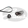 Image de Kit De Courroies D'accessoires Gates K016dpk1817