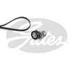 Image de Kit De Courroies D'accessoires Gates K016pk1088