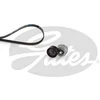 Image de Jeu De Courroies Trapézoïdales À Nervures Gates K017pk1078