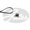 Image de Kit De Courroies D'accessoires Gates K034pk855