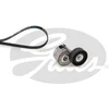 Image de Kit De Courroies D'accessoires Gates K036pk1163