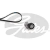 Image de Kit De Courroies D'accessoires Gates K036pk1548